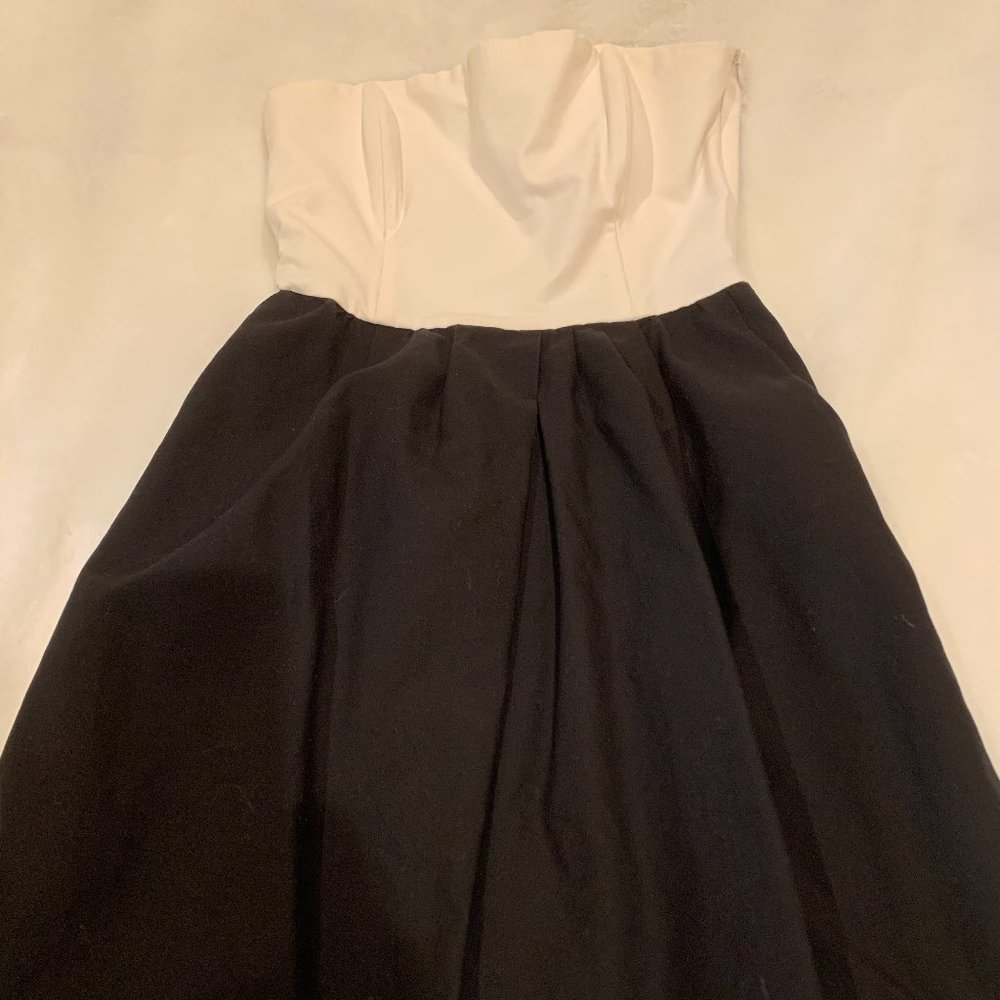 Zara Black and White Strapless Dress